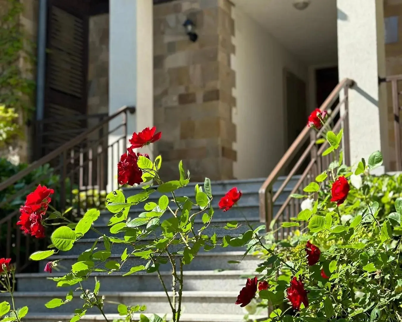 Studio Sea Breeze Veranda In Santa Marina Созополь 0*,